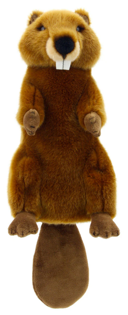 Pikkukuva 1